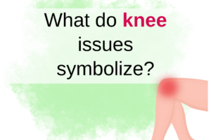 Knee Support