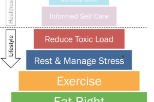 Wellness Lifestyle Pyramid