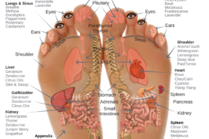 Foot Reflexology & Essential Oils
