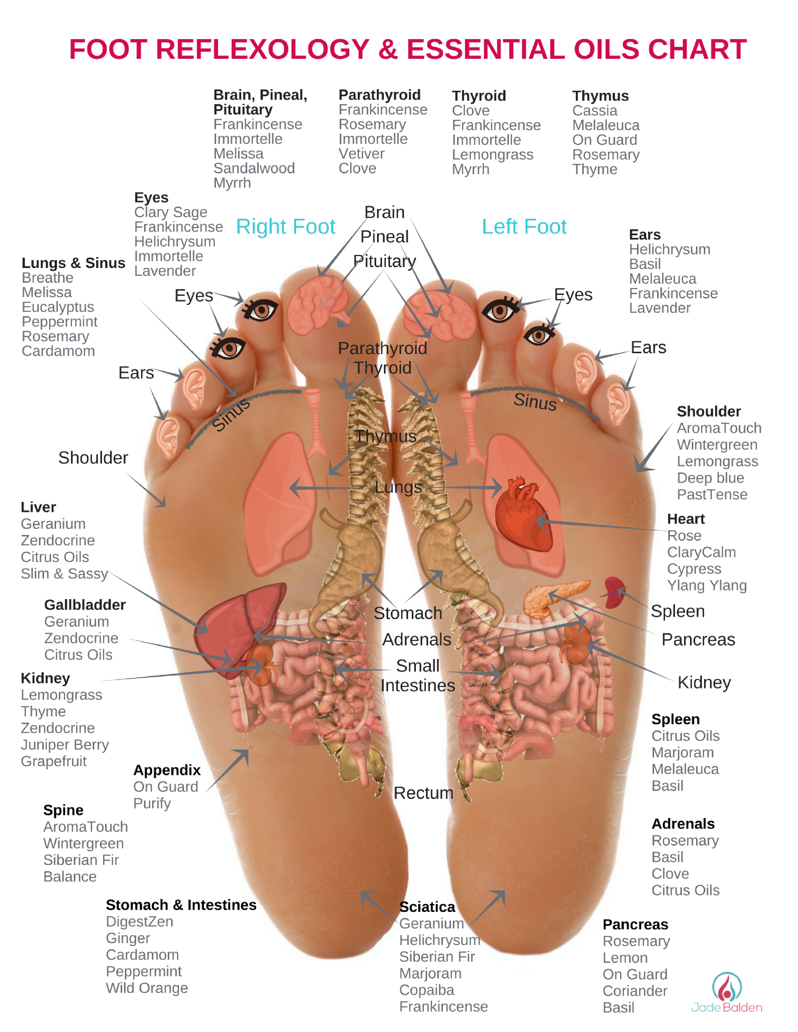 Reflexology Foot Chart Chakras