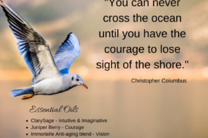 Courage to Lose Sight of the Shore