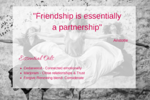 Friendship is a partnership