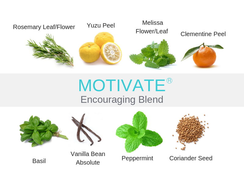 Motivate Encouraging Essential Oil Blend Jade Balden