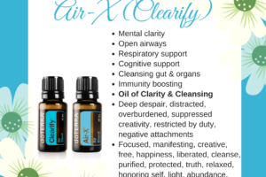 Air-X (Clearify🇦🇺) – Air Essential Oil Blend.