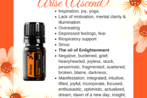 Arise (Ascend 🇦🇺) – Enlightening Yoga Essential Oil Blend.