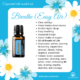 Breathe 🇺🇸 (Easy Air) – Respiratory or Respiration Essential Oil Blend.