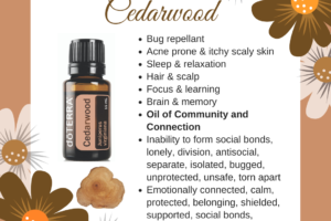 Cedarwood