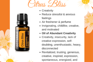 Citrus Bliss – Invigorating Essential Oil Blend.