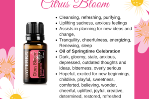 Citrus Bloom – Springtime Essential Oil Blend.
