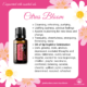 Citrus Bloom – Springtime Essential Oil Blend.