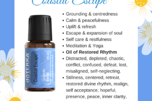 Coastal Escape – Seaside Blend