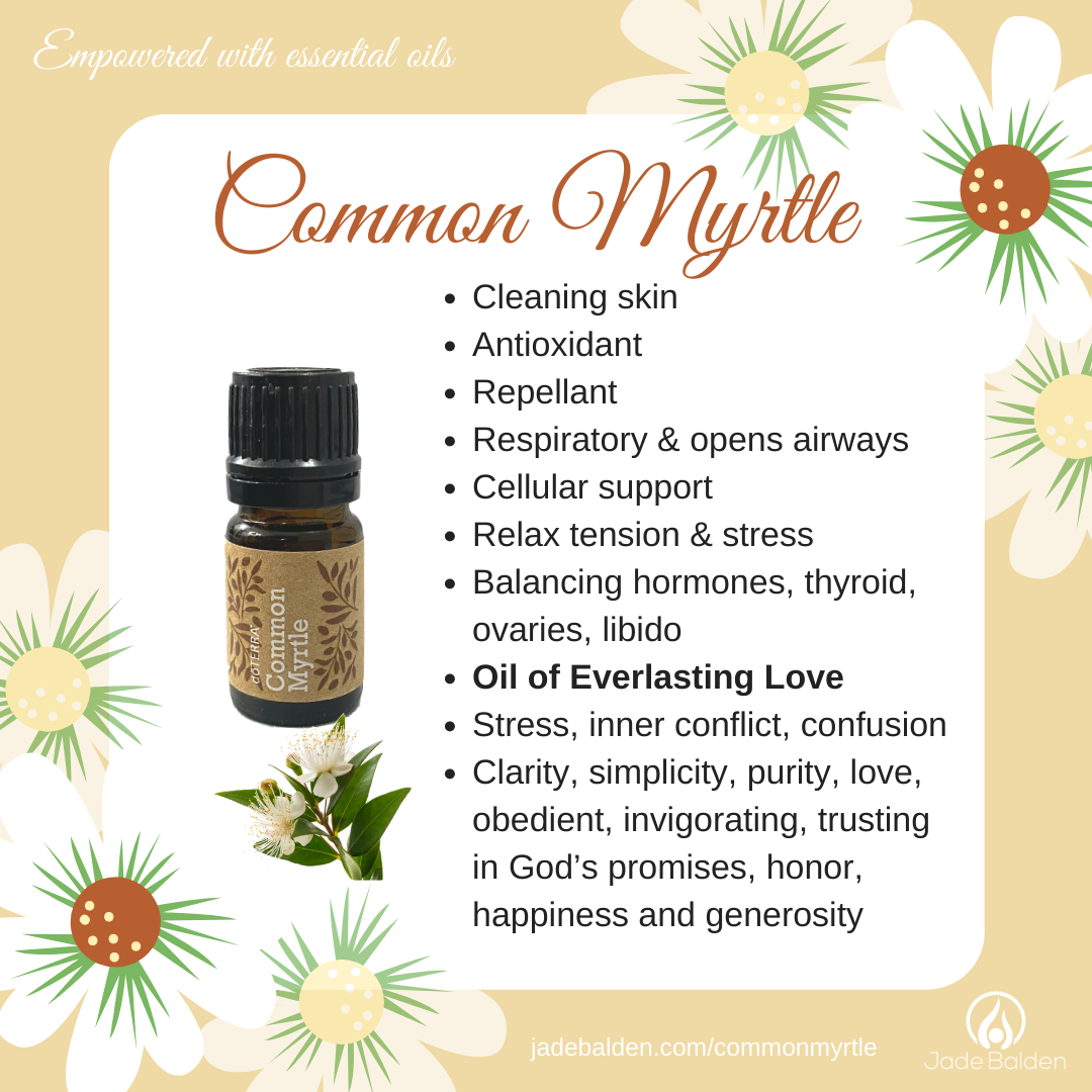 Common Myrtle | Jade Balden