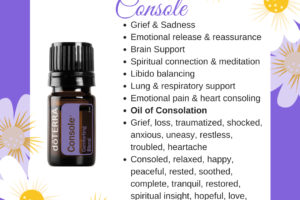 Console – Comforting Essential Oil Blend.
