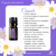Console – Comforting Essential Oil Blend.