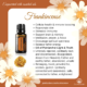 Frankincense