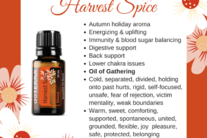 Harvest Spice – Gathering Blend