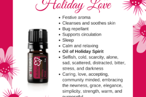 Holiday Love – Holiday Essential Oil Blend.