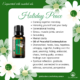 Holiday Peace – Holiday Essential Oil Blend.