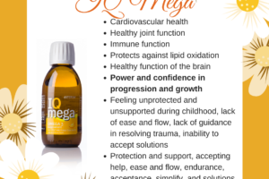 IQ Mega Omega-3 Fish Oil.