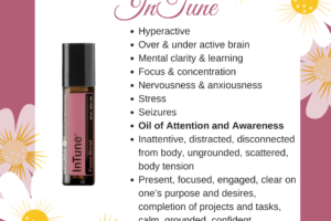 InTune – Focus Essential Oil Blend.