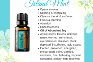 Island Mint – Summertime Essential Oil Blend.
