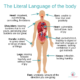 The Literal Language of Your Body