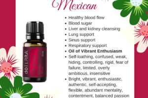 Mexican – Cuisine Essential Oil Blend.