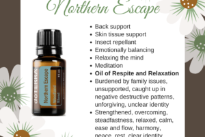 Northern Escape – Woodland Essential Oil Blend.