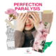 Perfection Paralysis