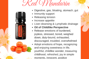Red Mandarin