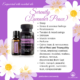 Serenity (Lavender Peace 🇦🇺) – Restful Essential Oil Blend.