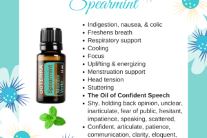 Spearmint Essential Oil 🆕