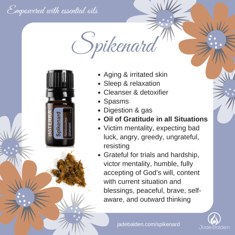 Spikenard | Jade Balden