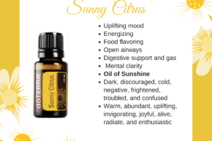 Sunny Citrus – Sunshine Essential Oil Blend.