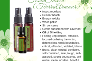 TerraShield (TerraArmour 🇦🇺) – Outdoor or Repellant Essential Oil Blend.