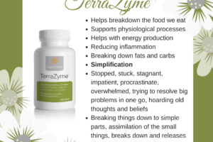 TerraZyme – Digestive Enzyme Complex.