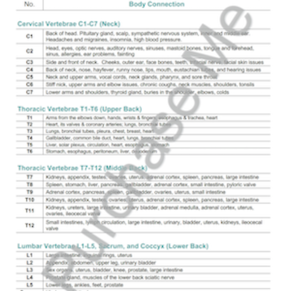 Back and Spine Mapping Diagram and Essential Oil Chart and Mapping Diagram