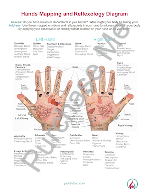 full body reflexology chart