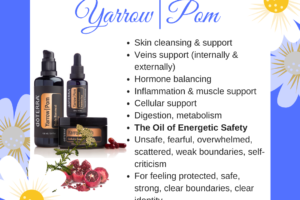 Yarrow Pom – Active Botanical Nutritive Duo Essential Oil Blend.